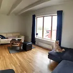 Cozy Balsfjord