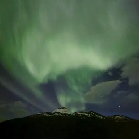 Cozy * Balsfjord