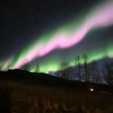 Cozy Balsfjord