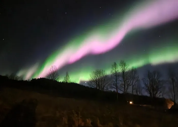 Cozy Balsfjord
